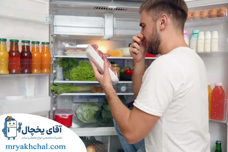 بوی نامطبوع داخل یخچال