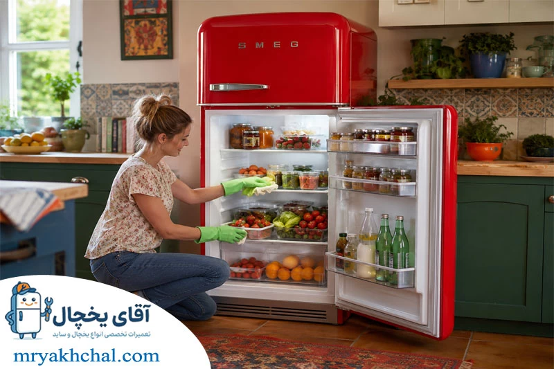 نکات مهم نگهداری و افزایش طول عمر یخچال اسمگ
