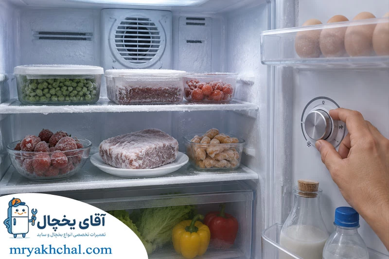 یخ زدن مواد غذایی در یخچال اسمگ